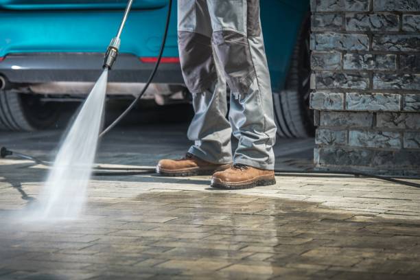 Best Dumpster Area Cleaning  in Avilla, AR